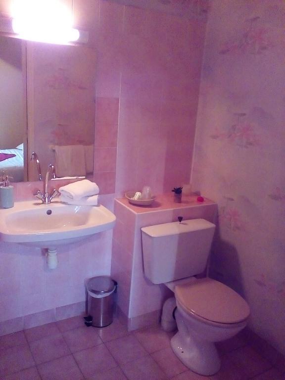 Le Relais De La Caleche Hotel Saint-Denis-d'Anjou Bagian luar foto